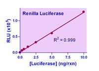 SuperLight™ Luciferase Dual Reporter Assay Kit, BioAssay Systems