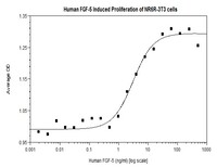 Human Recombinant FGF-5 (from E. coli)