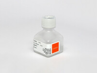 Corning® Insulin-Transferrin-Selenium (ITS) 100x Growth Supplement, Corning