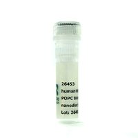 Nanodisc MSP1E3D1-His POPC Biotinyl PE