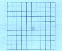 Whipple Grid Graticules, Electron Microscopy Sciences