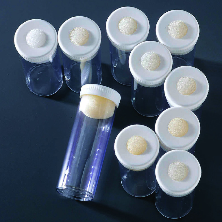 Ward's® Drosophila Vial Set Vials