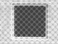 QUANTIFOIL® R 3.5 Holey Carbon Films on Grids