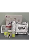 Mouse Anti-Marburg Antibody IgG Titer Serologic Assay Kit (Trimeric GP)