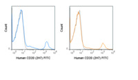 Anti-MS4A1 Mouse Monoclonal Antibody (FITC (Fluorescein Isothiocyanate)) [clone: 2H7]