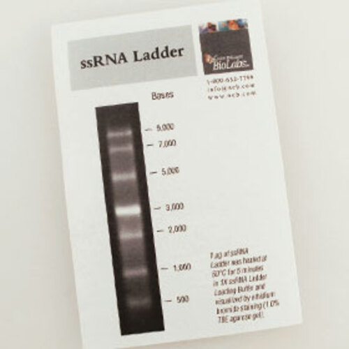 ssRNA Ladder 25 gel lanes