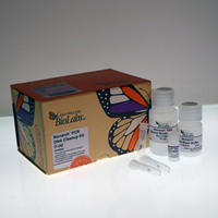 Monarch® DNA Cleanup Kits, New England Biolabs