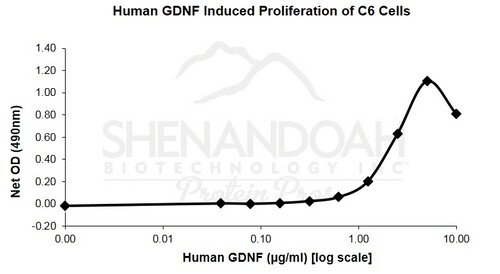 Human Recombinant GDNF (from <i>E. coli</i>)