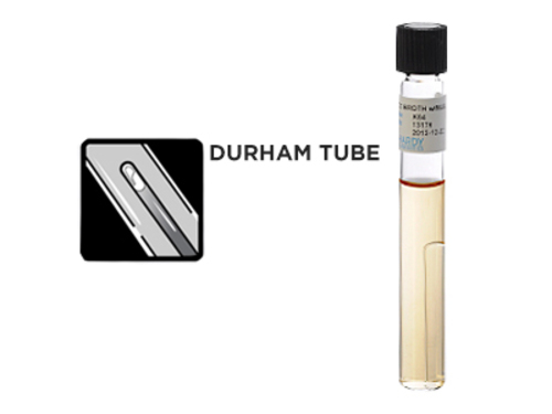 EC Broth with MUG (methylumbelliferyl glucuronide), 10ml fill, 16x125mm tube with durham tube, Flat bottom, Leak-proof, Optically clear, Durham tube, For the detection of E. Coli in food and water by flourescence. Contains methylumbelliferyl glucuronide. Read with a fluorescent lamp