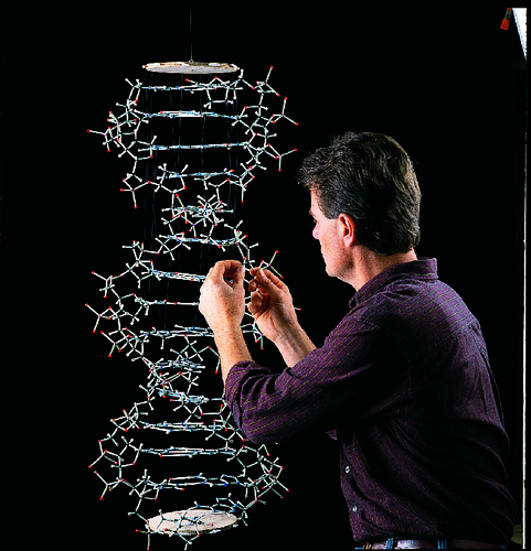MODEL DNA MINIT