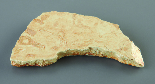 Archaeocyathid (L. Camb.) Au Replica Fossil Resin