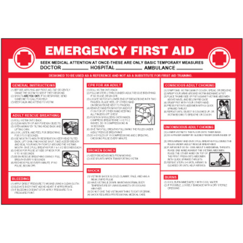 Emergency First Aid Wallchart 28x41in
