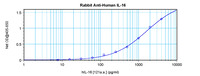 Anti-IL16 Rabbit Polyclonal Antibody