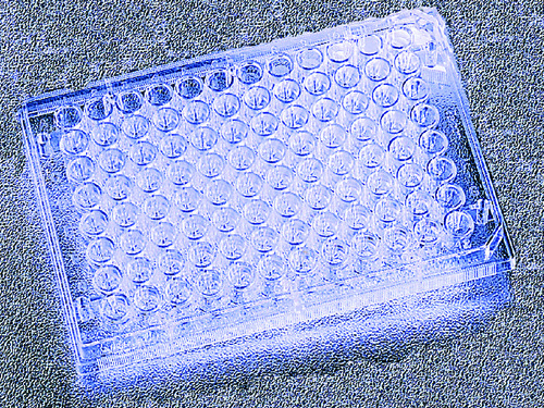 Multiwell Cell Culture Plates