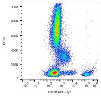 Anti-CD20 Mouse Monoclonal Antibody [clone: 2H7] (APC (Allophycocyanin)-Cy7®)