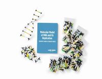 Lab-Aids® DNA and its Replication Model Kit