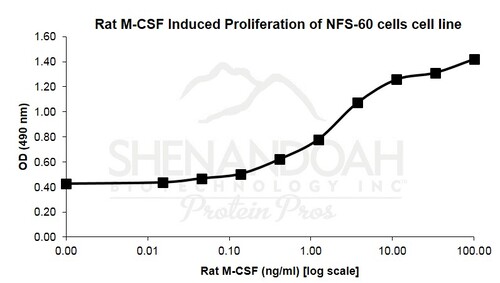Rat Recombinant M-CSF (from <i>E. coli)</i>