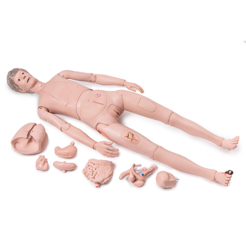 3B Scientific® Patient Care Manikins