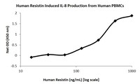 Human Recombinant Resistin (from E. coli)