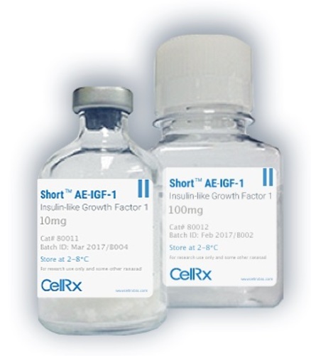 Short™ AE-IGF-1 Human Insulin Like Growth Factor