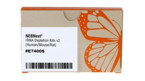 NEBNext rRNA Depletion Kit v2 (Human/Mouse/Rat), New England Biolabs