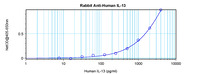 Anti-IL13 Rabbit Polyclonal Antibody