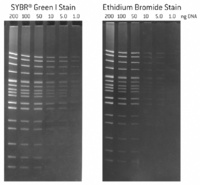 SYBR® Green II nucleic acid stain