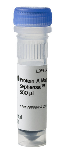 Protein A Mag Sepharose, Cytiva