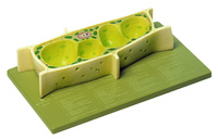 Somso® Generalized Plant Cell Model