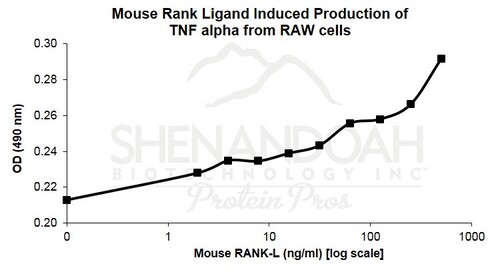 Mouse Recombinant RANK Ligand (from <i>E. coli</i>)