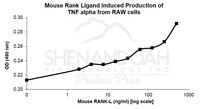 Mouse Recombinant RANK Ligand (from E. coli)