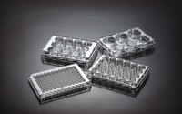 BioX Multi-Well Cell Culture Plates, TC Treated