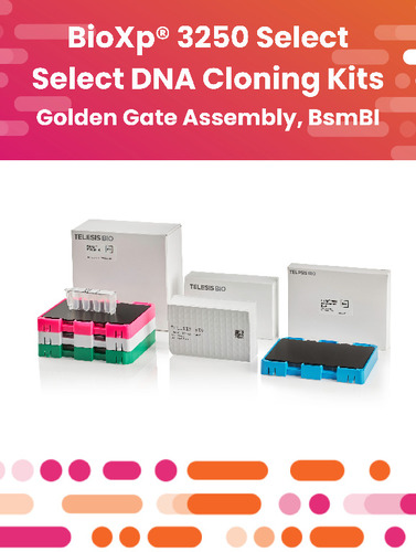 BioXp® Select DNA Cloning Golden Gate Assembly BsmBI Kits