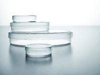 Falcon® Tissue Culture Dishes, Polystyrene, Sterile, Corning
