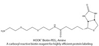 HOOK™ Carboxyl Reactive Biotin Reagents & Kits for Highly Efficient Protein Labeling, G-Biosciences