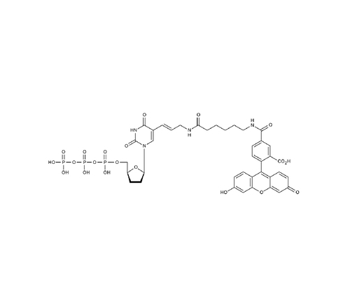 Fluorescein-12-Ddutp 25 Nmol
