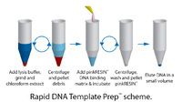 Rapid DNA Template Prep™ for Rapid Preparation of DNA Template for Small Samples, G-Biosciences