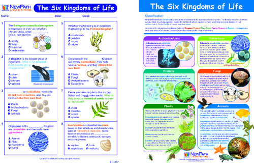 BOOK VISUAL GUIDE 6 KINGDOMS NEW