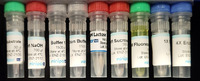 miniPCR® P51™ Enzyme Lab: β-Gal Glow
