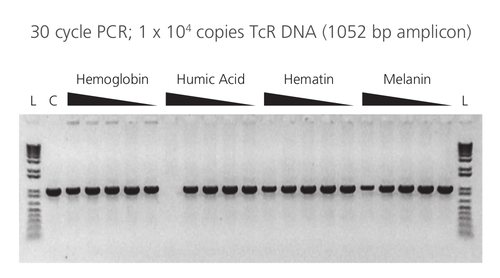 Accustart* Ii Pcr Toughmix Is A 2X Concentrated Ready-To-Use Reaction Cocktail For Pcr Amplification