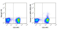 Anti-IL4 Rat Monoclonal Antibody (PE (Phycoerythrin)) [clone: MP4-25D2]