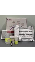 Mouse Anti-Herpes Simplex Virus (HSV) gD Protein Antibody IgG Titer Serologic Assay Kit (Subtypes 1&2)