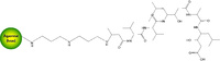 Immobilized Pepstatin for Purification of Cathepsins, Pepsin and Other Pepstatin Binding Molecules, G-Biosciences