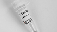 3'-Desthiobiotin-GTP, New England Biolabs
