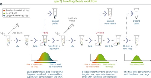 Sparq Puremag Bead High Recovery Fast, reliable DNA purification & size selection for NGS workflows, High recovery of DNA fragments greater than 100 bp, Consistent, Efficient removal of unwanted components from adapter ligation and PCR reactions, Size: 60ml