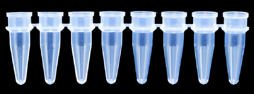 Axygen® PCR Tube Strips and Dome Cap Strips, Corning