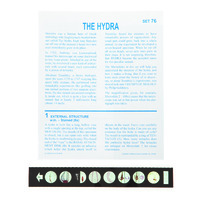 The Hydra Microslide