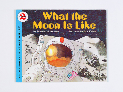 BOOK WHAT THE MOON IS LIKE (BRANLEY)