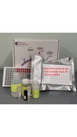 Human Anti-MERS Antibody IgG Titer Serologic Assay Kit (Trimeric spike)