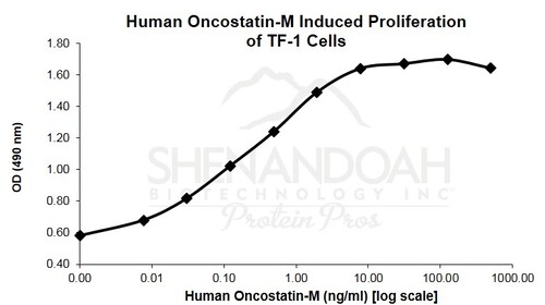Human Recombinant Oncostatin M (from <i>E. coli</i>)